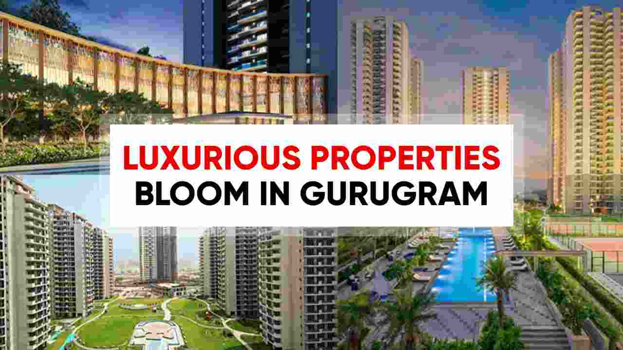 Luxurious Properties Bloom in Gurugram
